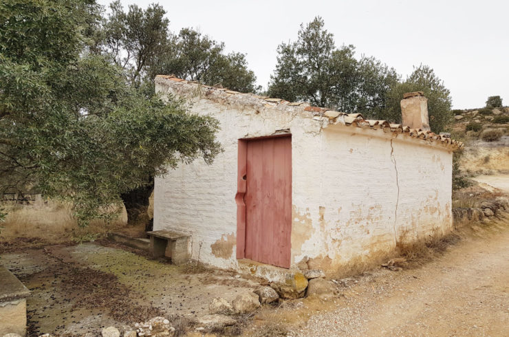 Espectacular rebaja en el precio