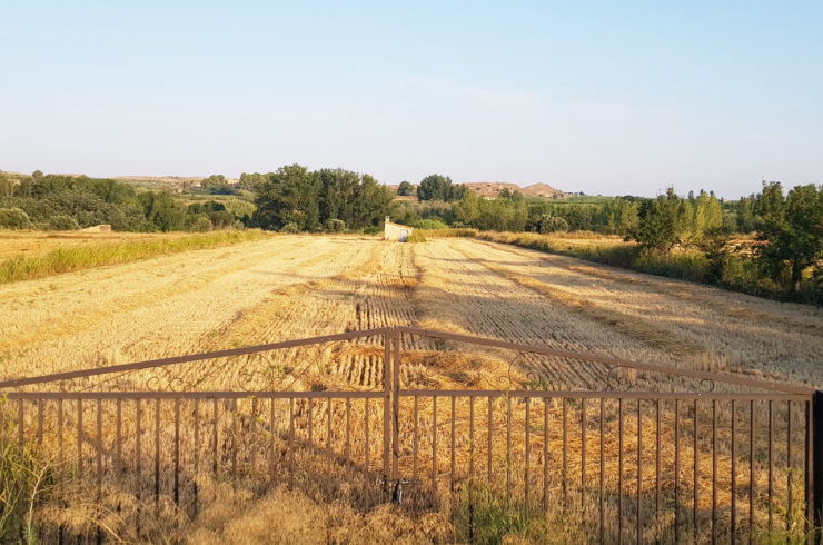 Importante Bajada de Precio